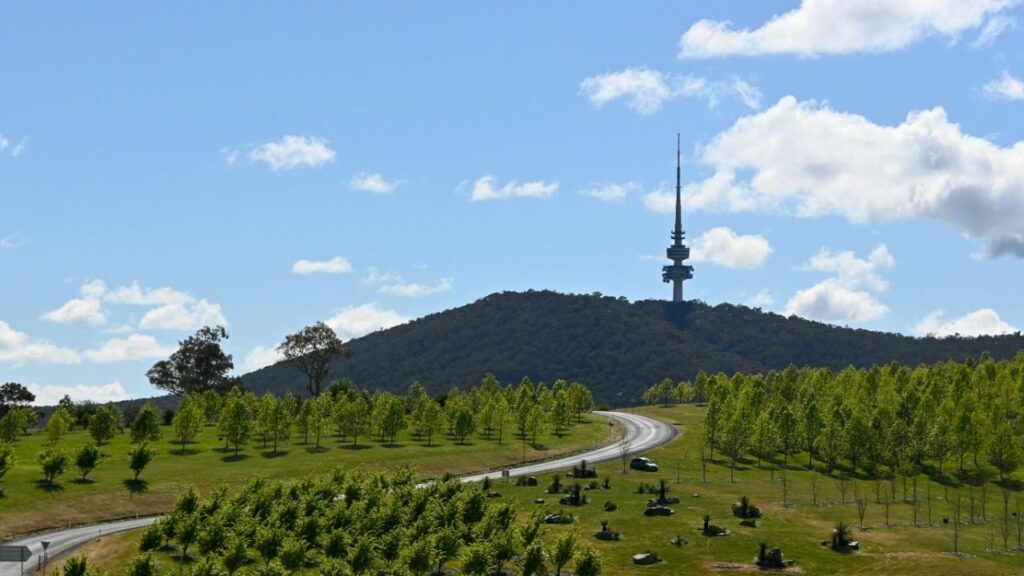 Telefónica, MasOrange y Vodafone se reparten la mayoría de los 508 millones de ayudas del plan UNICO 5G Redes Activas